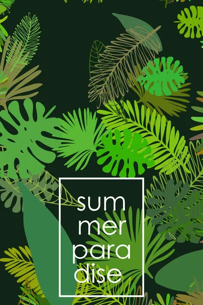 热带植物的叶子 彩色夏季明信片 矢量背景 — 图库矢量图片