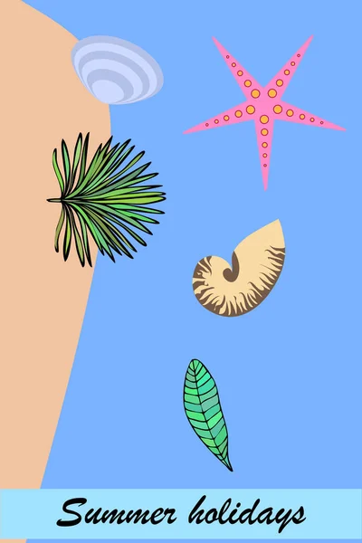 Descanso. Estrella de mar, concha marina, hojas de plantas tropicales. Fondo vectorial — Archivo Imágenes Vectoriales