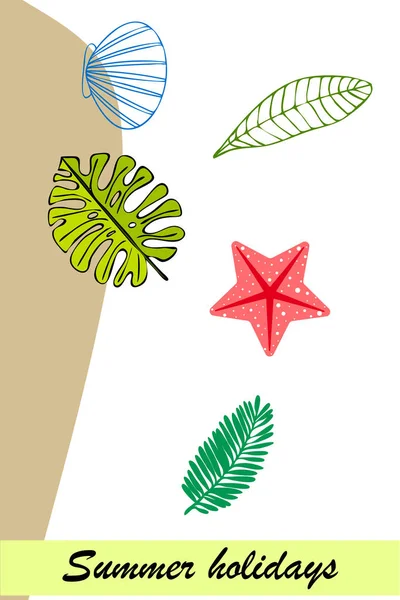 Sommar vila. Sjöstjärna, snäckor, löv av tropiska växter. Vektor bakgrund — Stock vektor