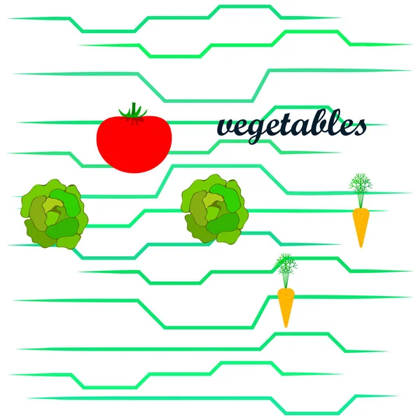 Ilustración Simple Diferentes Verduras Con Letras Vector — Archivo Imágenes Vectoriales