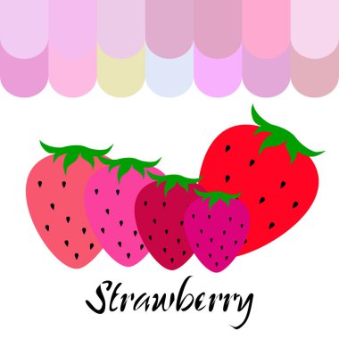Yazı ile çilek İllüstrasyon, vektör 