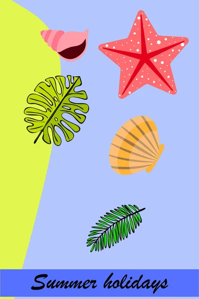 Repos d'été. Étoile de mer, coquillage, feuilles de plantes tropicales. Fond vectoriel — Image vectorielle