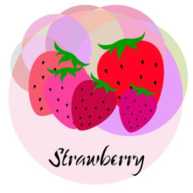 Yazı ile çilek İllüstrasyon, vektör 
