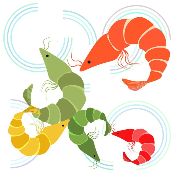 Shrimp fresh seafood. Vector backgroung. Food and restaurant design. — Stock Vector