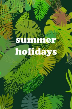 Tropik bitkilerin yaprakları. Renkli yaz kartpostalı, yaz tatili. Vektör arka planı.