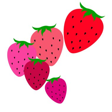 Renkli çilek, vektör basit illüstrasyon 