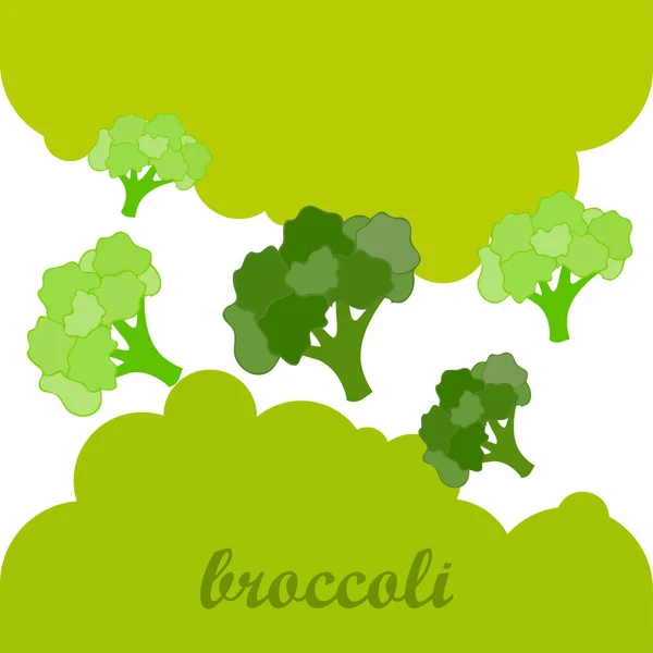 Brócolos, vegetais frescos. Cartaz de comida orgânica. Design de mercado de agricultores. Fundo vetorial . — Vetor de Stock