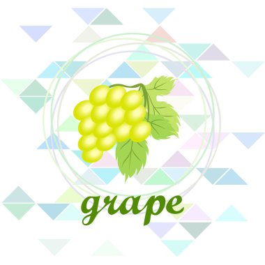 Yapraklı üzüm. Tasarım için vektör ögeleri