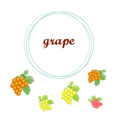 Yapraklı üzüm. Tasarım için vektör ögeleri