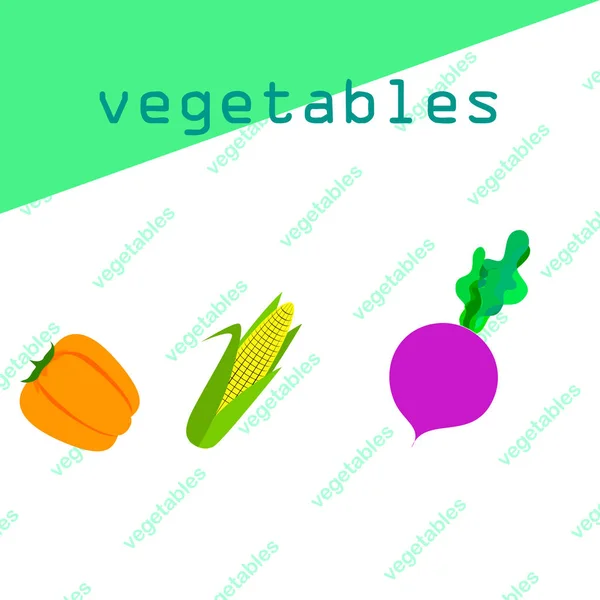 Legumes frescos. Pimenta, beterraba, milho. Cartaz de comida orgânica. Design de mercado de agricultores. Vetor . —  Vetores de Stock