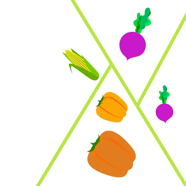Свіжі овочі. Перець, буряк, кукурудза. Плакат з органічної їжі. Дизайн фермерського ринку. Векторні . — стоковий вектор