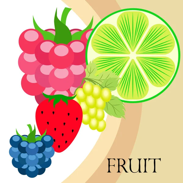 Früchte und Beeren. bunte Comic-Frucht-Ikonen: Brombeere, Himbeere, Traube, Erdbeere, Limette. Vektorhintergrund. — Stockvektor