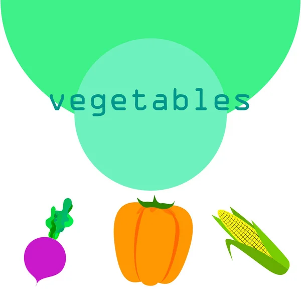 Verduras frescas. Pimienta, remolacha, maíz. Cartel de alimentos orgánicos. Diseño del mercado de agricultores. Vector . — Vector de stock