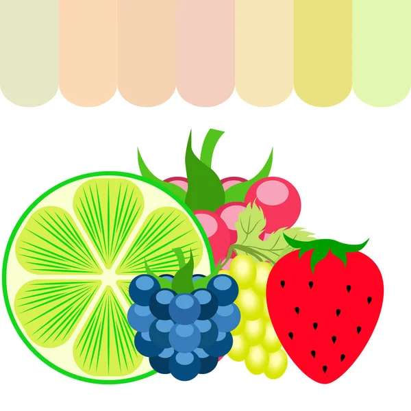 Vruchten en bessen. Kleurrijke cartoon fruit iconen: bramen, frambozen, druif, aardbeien, limoen. Vectorachtergrond. — Stockvector