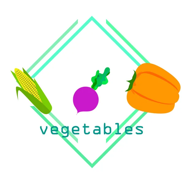 Verduras frescas. Pimienta, remolacha, maíz. Cartel de alimentos orgánicos. Diseño del mercado de agricultores. Vector . — Vector de stock