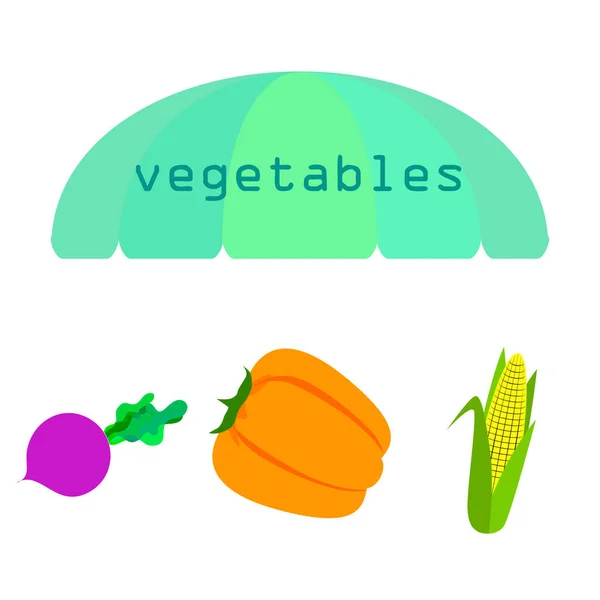 Verduras frescas. Pimienta, remolacha, maíz. Cartel de alimentos orgánicos. Diseño del mercado de agricultores. Vector . — Vector de stock