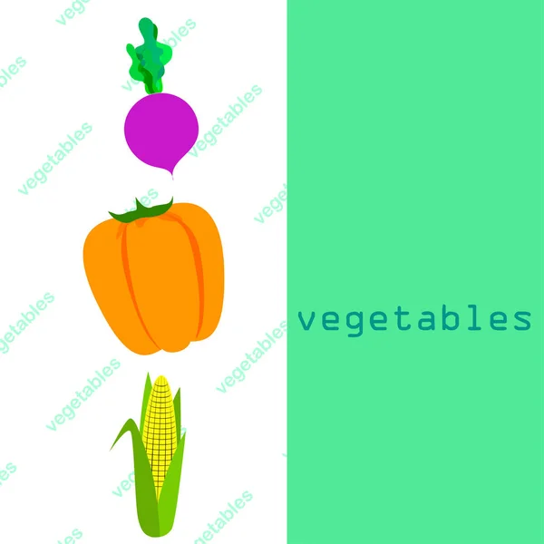 ताज्या भाज्या. मिरपूड, कोथिंबीर. सेंद्रिय फूड पोस्टर. शेतकरी बाजार डिझाइन. व्हेक्टर . — स्टॉक व्हेक्टर