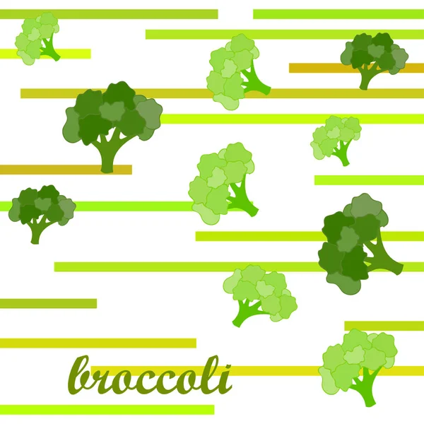 Broccoli, fresh vegetable. Organic food poster. Farmer market design. Vector background. — Stock Vector