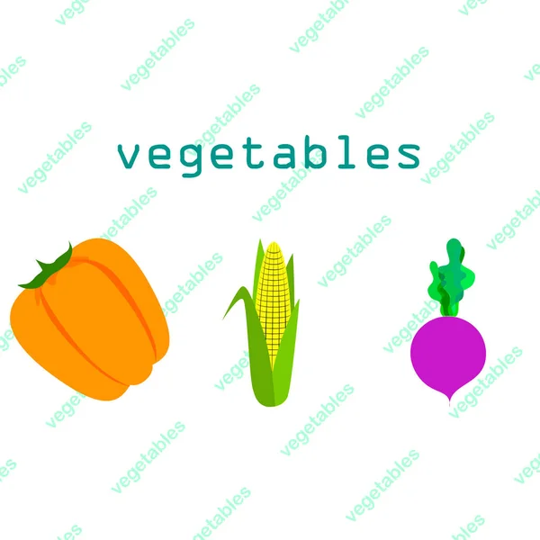 Verduras frescas. Pimienta, remolacha, maíz. Cartel de alimentos orgánicos. Diseño del mercado de agricultores. Vector . — Vector de stock