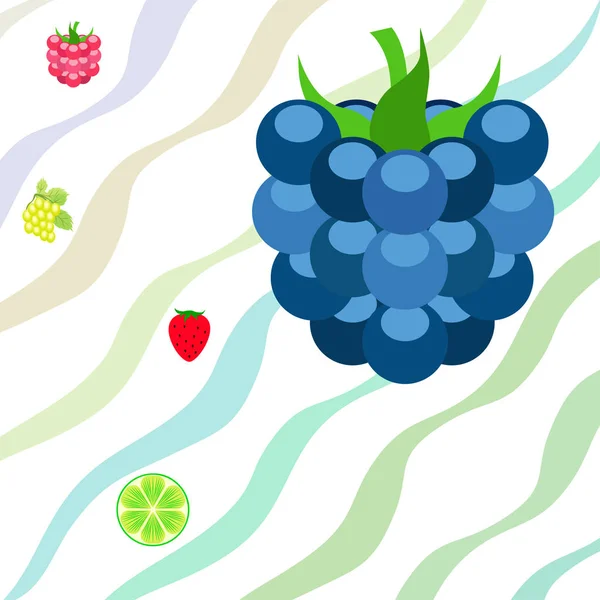 Ovoce a bobule. Barevné kreslené ovocné ikony: ostružiny, maliny, hrozny, jahody, vápno. Pozadí vektoru. — Stockový vektor