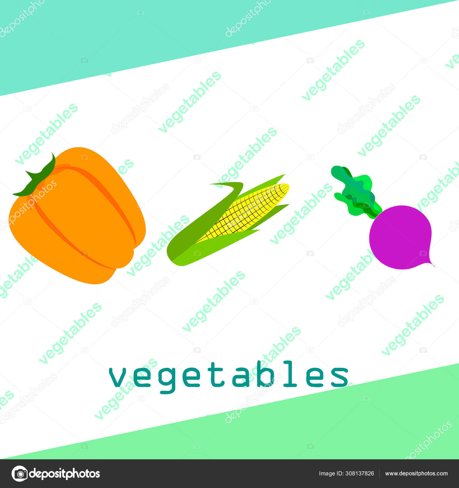 Fresh vegetables. Pepper, beet, corn. Organic food poster. Farmer
