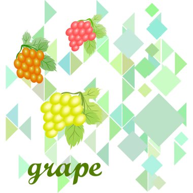 Yapraklı üzüm. Tasarım için vektör ögeleri