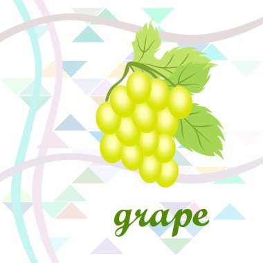 Yapraklı üzüm. Tasarım için vektör ögeleri