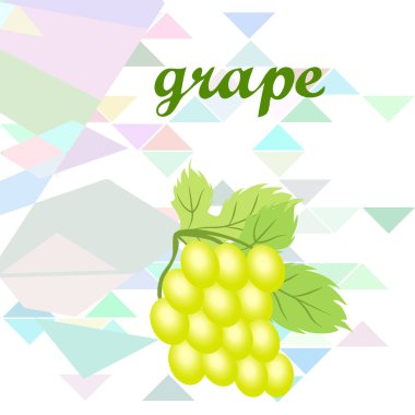 Yapraklı üzüm. Tasarım için vektör ögeleri