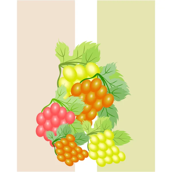 Grape with leaf. Vector elements for design — Stock Vector