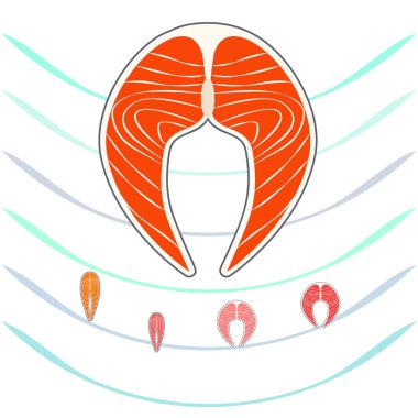 Balık, deniz ürünleri. Vektör deniz ürünleri. Gıda ve restoran tasarımı.