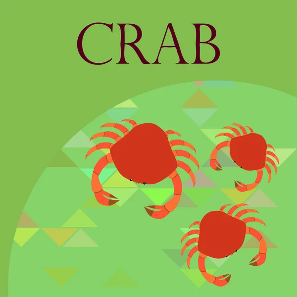 Krabbor. Skaldjur. Vektor illustration av ett havsdjur. — Stock vektor