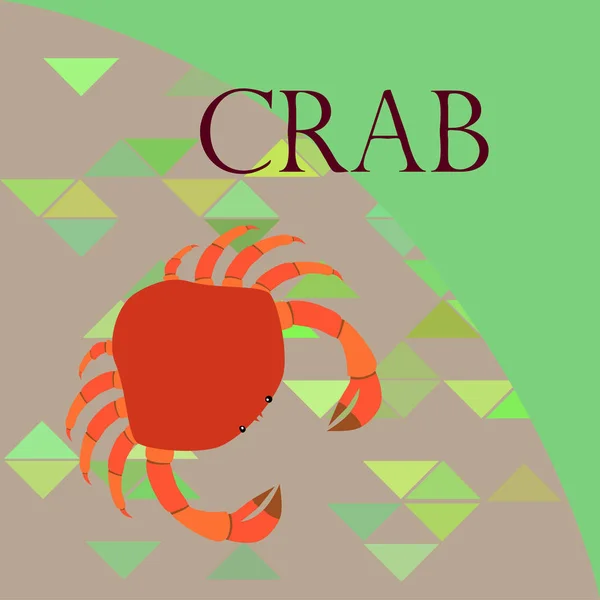 Crabs. Seafood. Vector illustration of a sea animal. — Stock Vector