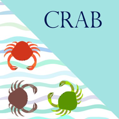 Yengeç. Deniz ürünleri. Bir deniz hayvanının vektör illüstrasyonu.