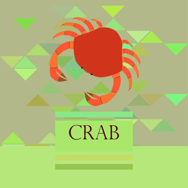 Crabs. Seafood. Vector illustration of a sea animal. — Stock Vector