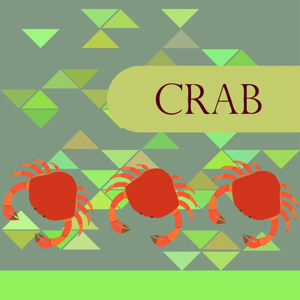 Crabs. Seafood. Vector illustration of a sea animal. — Stock Vector