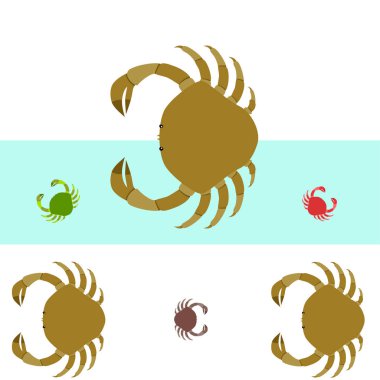 Yengeç. Deniz ürünleri. Bir deniz hayvanının vektör illüstrasyonu.