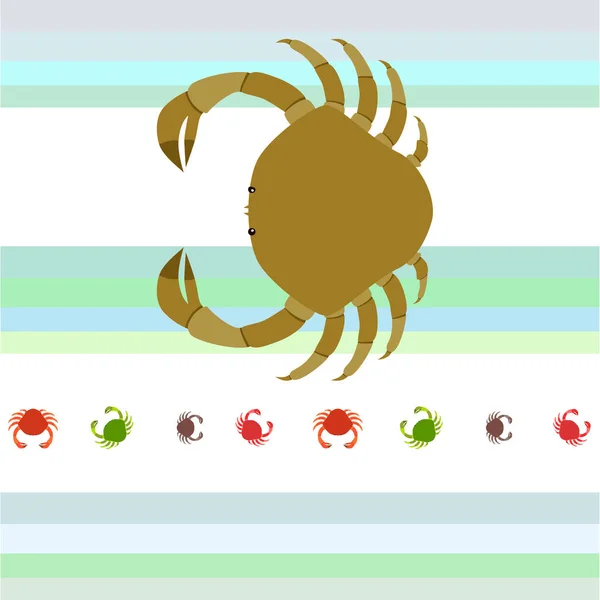 Krabben. Zeevruchten. Vector illustratie van een zee dier. — Stockvector