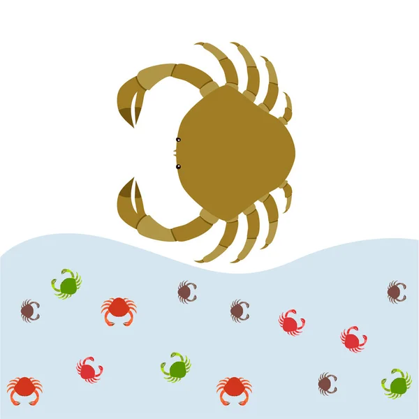 Kepiting. Makanan laut. Vektor ilustrasi dari hewan laut . - Stok Vektor