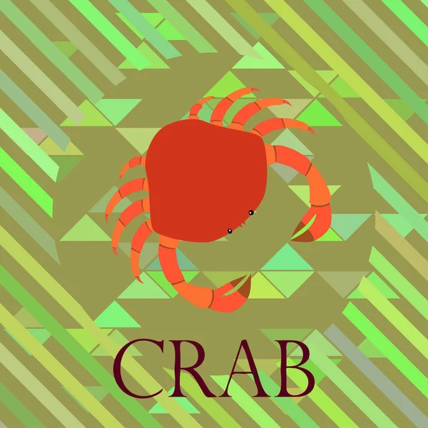 Crabs. Seafood. Vector illustration of a sea animal. — Stock Vector