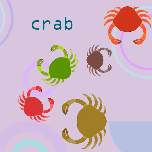 Krabben. Zeevruchten. Vector illustratie van een zee dier. — Stockvector