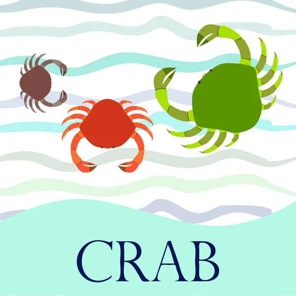 Krabben. Meeresfrüchte. Vektorillustration eines Meerestieres. — Stockvektor