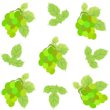 Yapraklı üzüm. Tasarım için vektör ögeleri