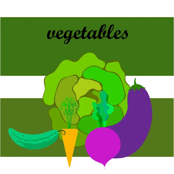 Cabbage, beet, carrot, eggplant, cucumber, fresh vegetables. Organic food poster. Farmer market design. Vector background. — Stock Vector