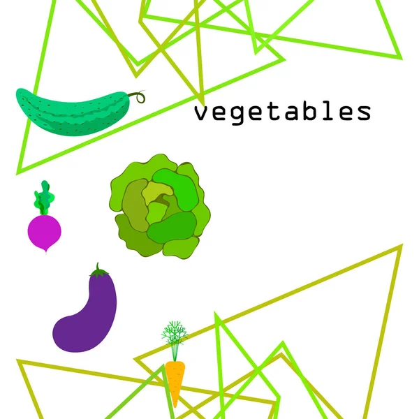 양배추, 사탕무, 당근, 가지,오이, 신선 한 야채. 유기농 식품 포스터. 농부의 시장 디자인. 벡터 배경. — 스톡 벡터