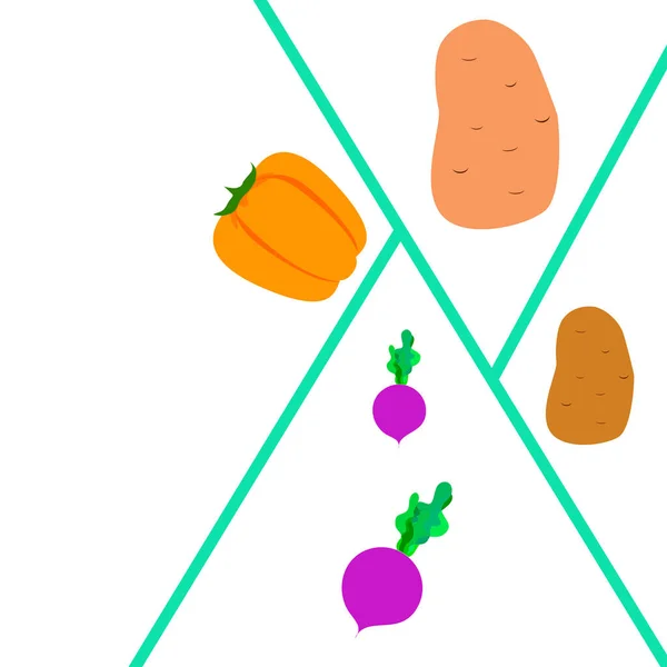 Friss zöldség. Paprika, cékla, krumpli. Organikus étel poszter. Termelői piac kialakítása. Vektor. — Stock Vector