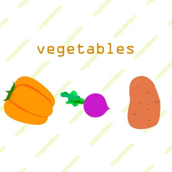 Verduras frescas. Pimientos, remolachas, patatas. Cartel de alimentos orgánicos. Diseño del mercado de agricultores. Vector . — Vector de stock