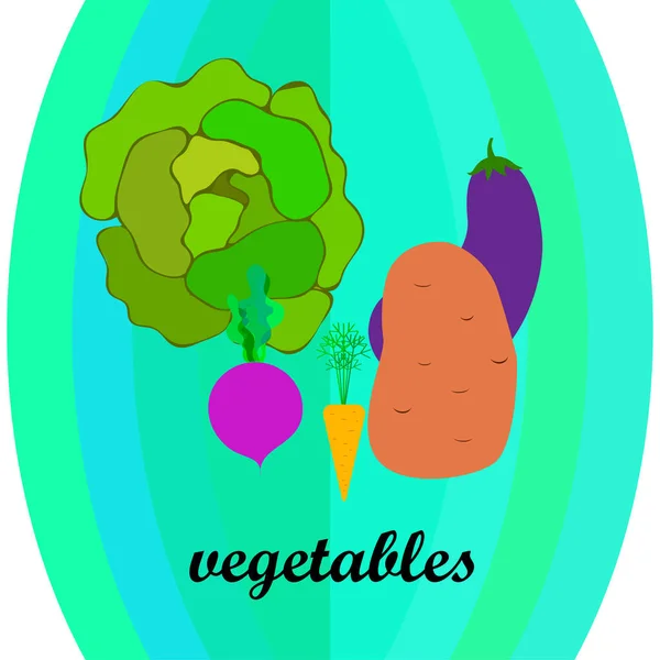 Cabbage, beets, carrots, eggplants, potatoes, fresh vegetables. Organic food poster. Farmer market design. Vector background. — Stock vektor