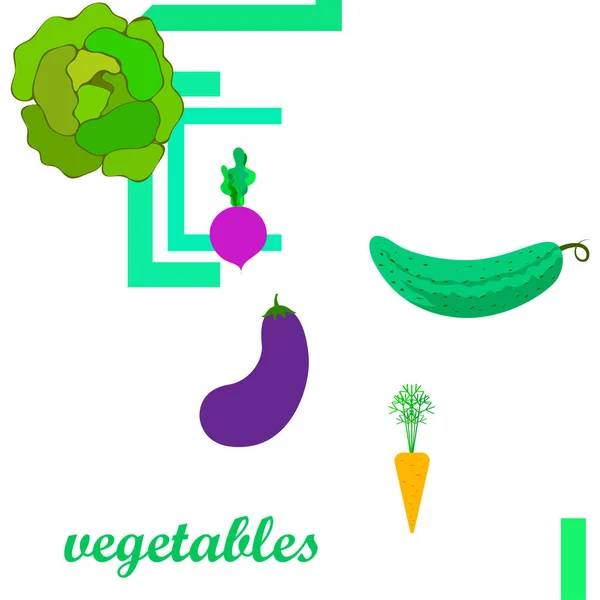 Kapusta, burak, marchewka, bakłażan, ogórek, świeże warzywa. Plakat z jedzeniem ekologicznym. Projekt rynku rolnego. Tło wektorowe. — Wektor stockowy