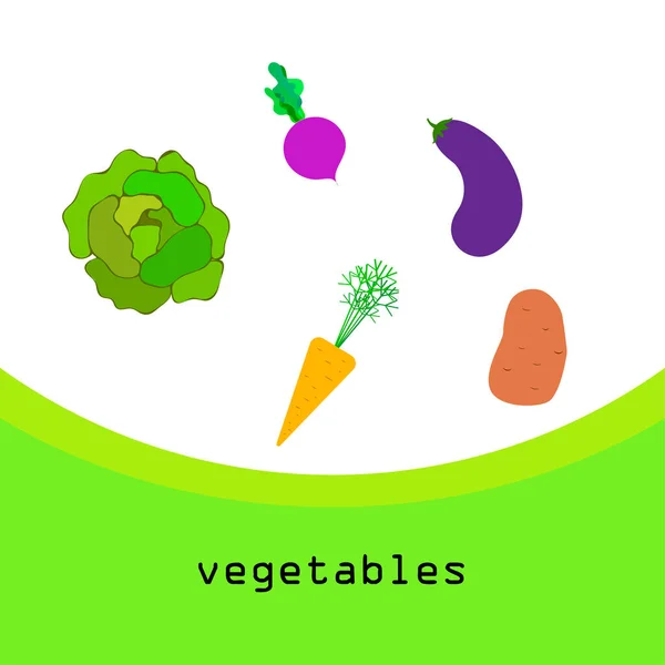 Kool, bieten, wortelen, aubergines, aardappelen, verse groenten. Biologisch voedsel poster. Landbouwmarktordening. Vectorachtergrond. — Stockvector