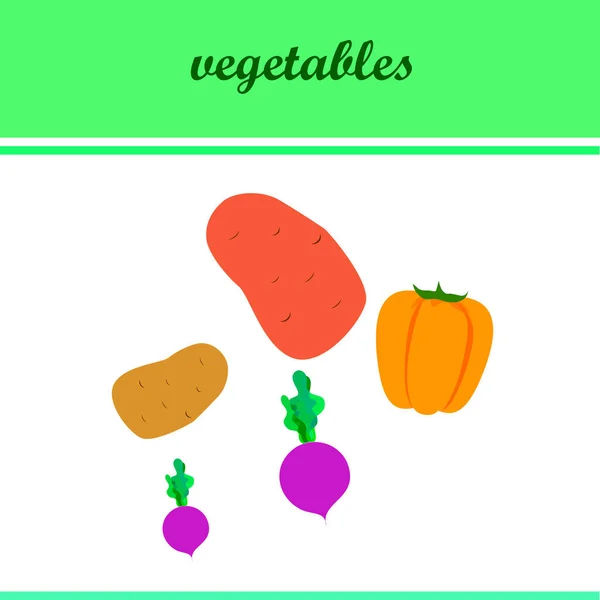Fresh vegetables. Peppers, beets, potatoes. Organic food poster. Farmers market design. Vector. — Stock Vector